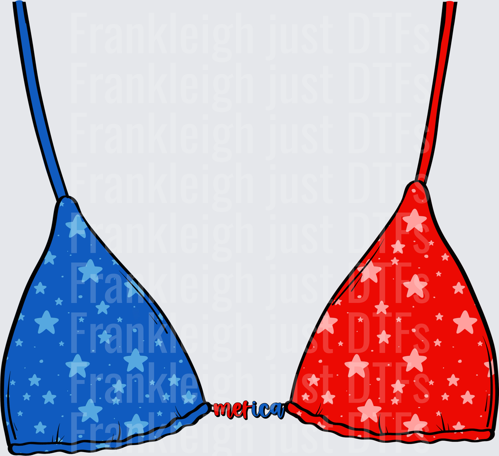 Patriotic Bikini 2
