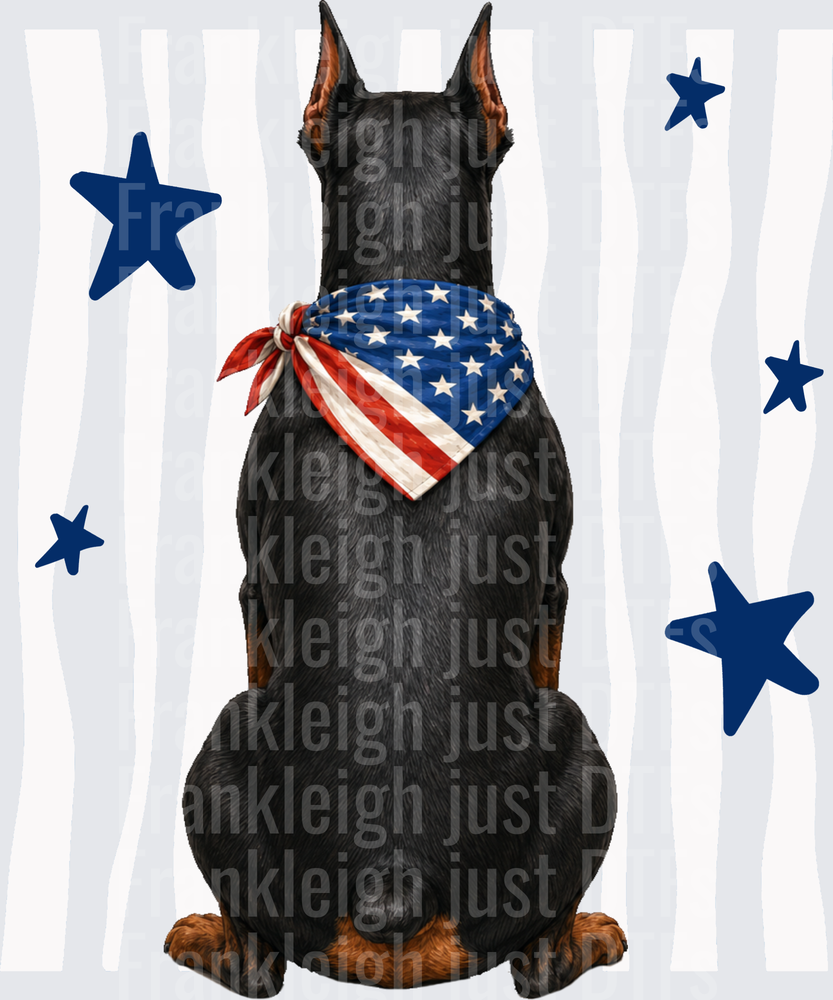 Patriotic Doberman with American Flag Bandana and Blue Stars Back