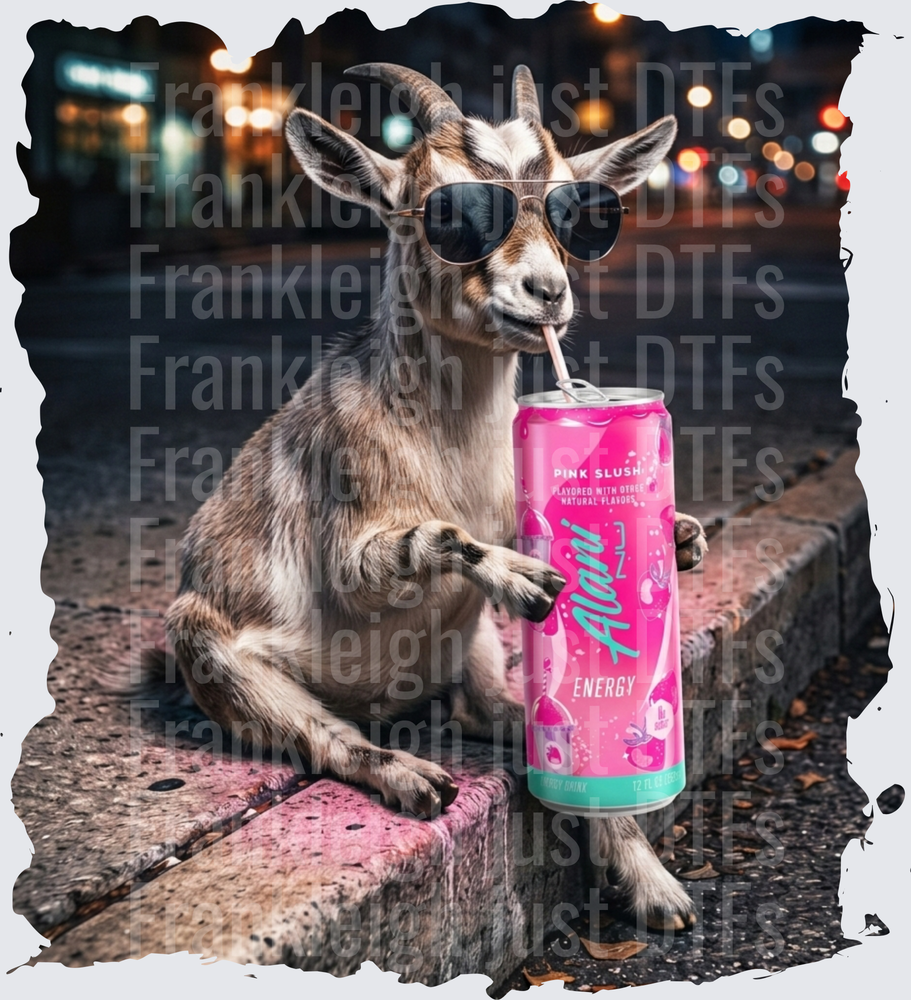 goat drinking ps alani