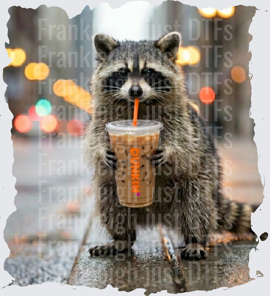 raccoon dunkin
