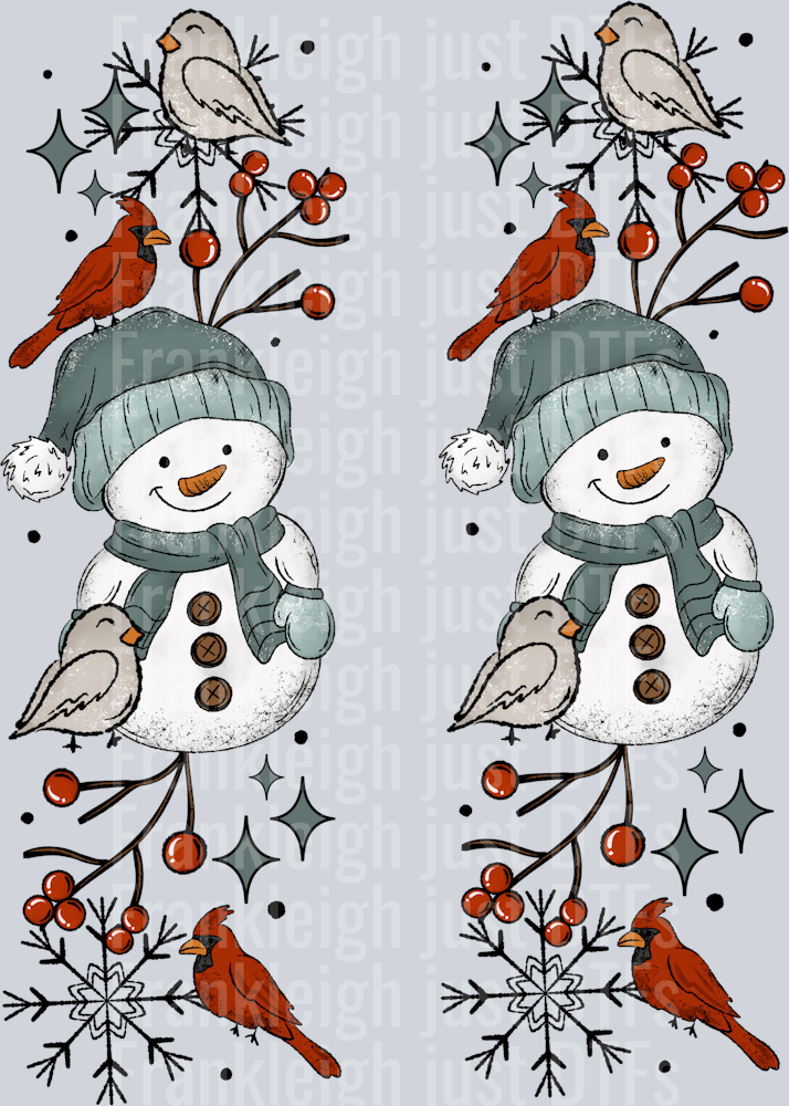 Snowman And Birds Sleeve