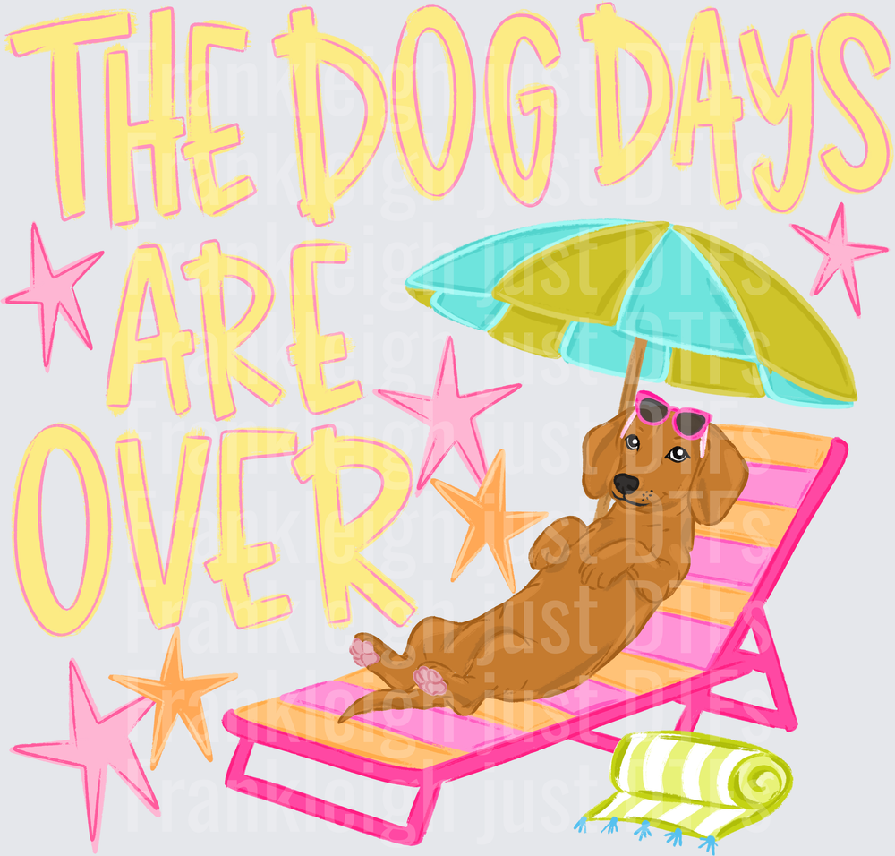 the dog days are over