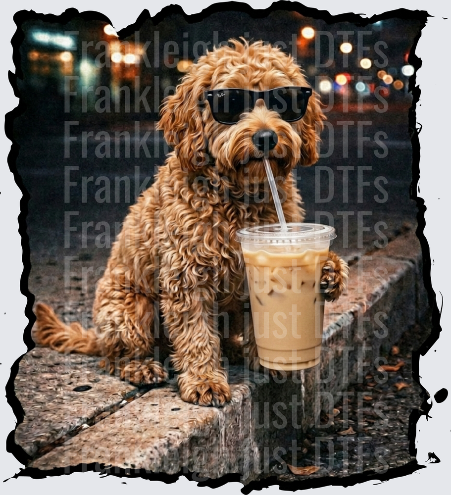 golden doodle drinking iced coffee