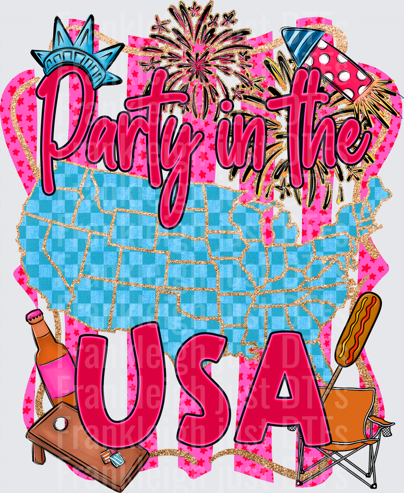 Party in the USA