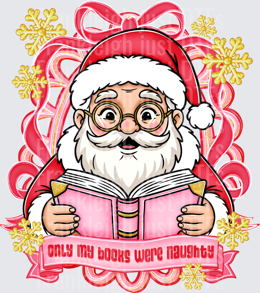 Santa Only My Books Were Naughty Frame