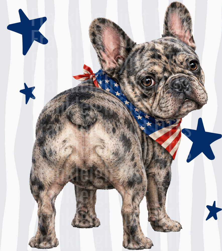 Patriotic French Bulldog with American Flag Bandana and Blue Stars Back