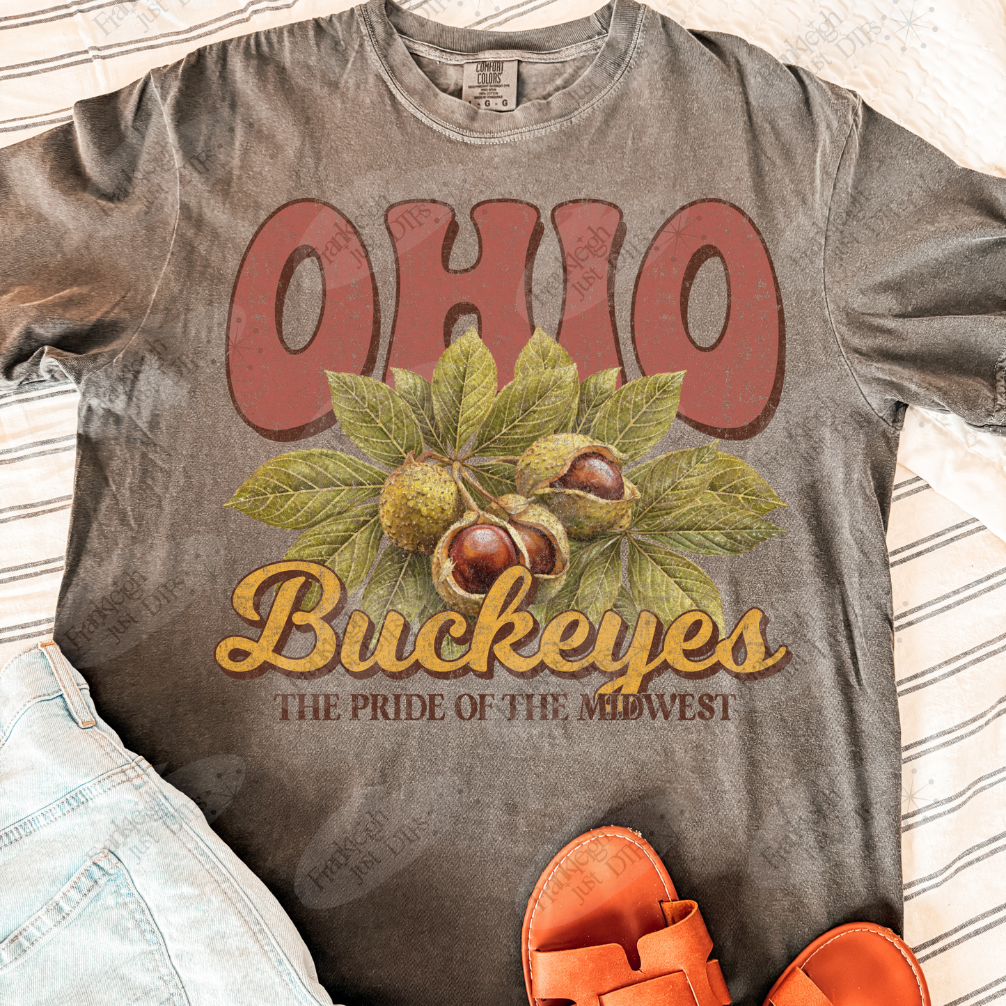 Ohio Buckeyes
