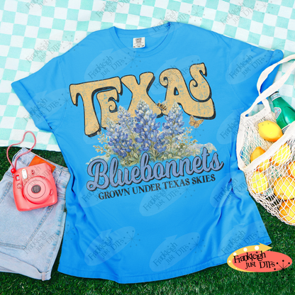 Texas Bluebonnets