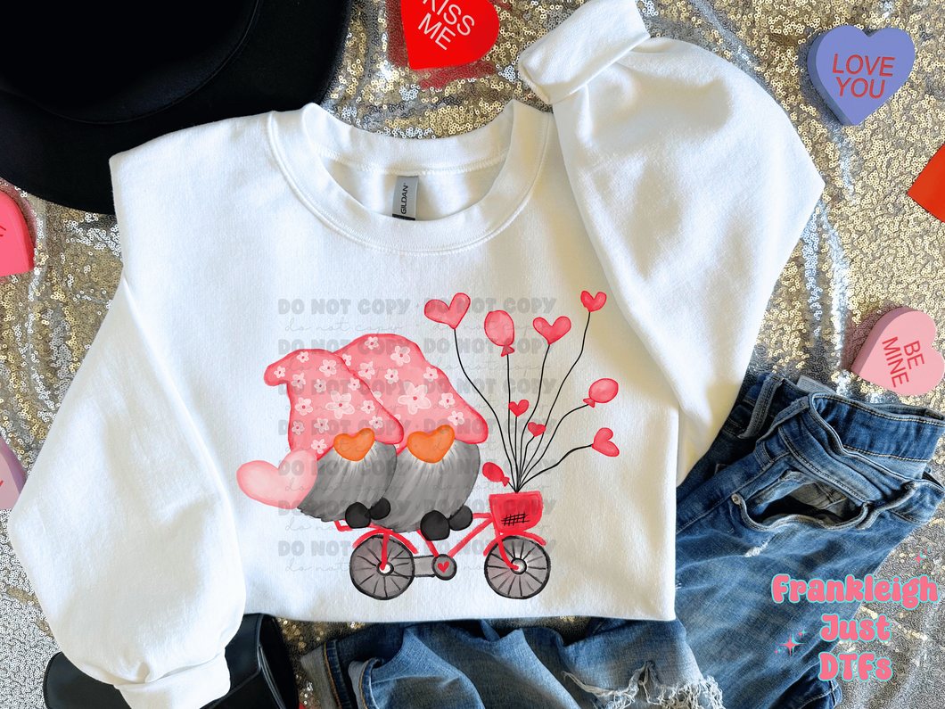 2 Valentine Gnomes Riding Bicycle