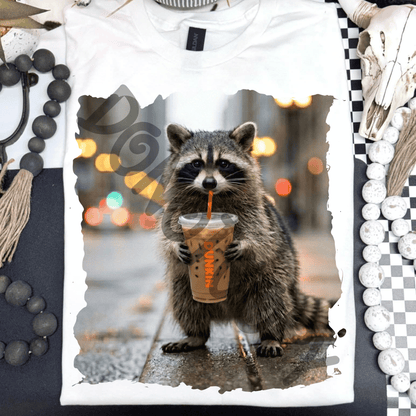 raccoon dunkin