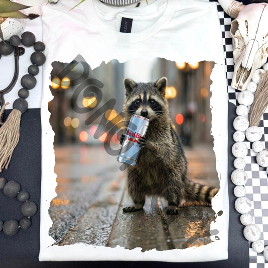 raccoon sf redbull