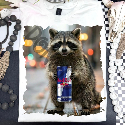 raccoon redbull