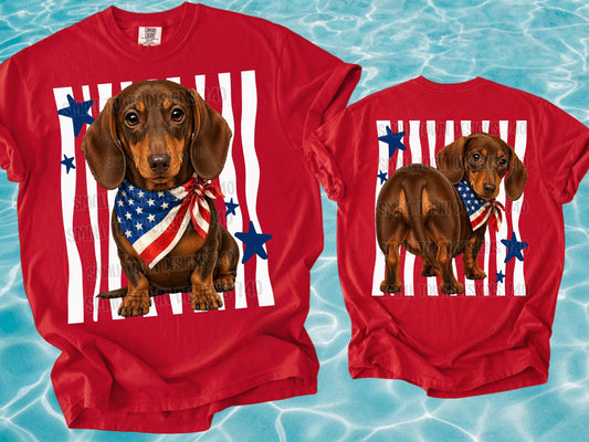 Patriotic Dachshund with American Flag Bandana and Blue Stars Back