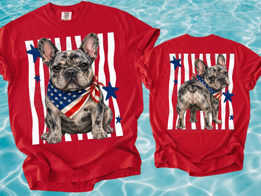 Patriotic French Bulldog with American Flag Bandana and Blue Stars (Back)