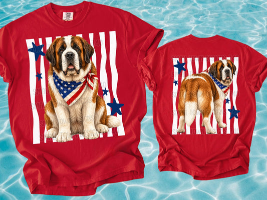 Patriotic Saint Bernard Dog with American Flag Bandana and Blue Stars Back
