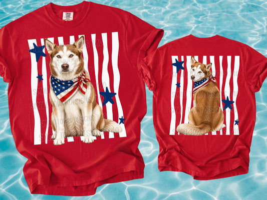 Patriotic Husky with American Flag Bandana and Blue Stars (Back)
