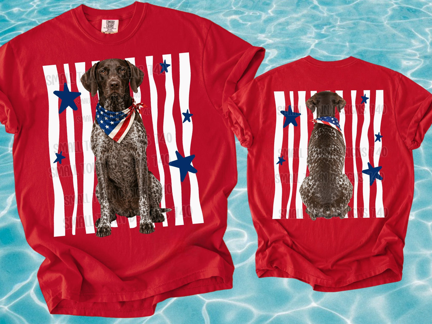 Patriotic German Shorthaired Pointer with American Flag Bandana and Blue Stars (Back)