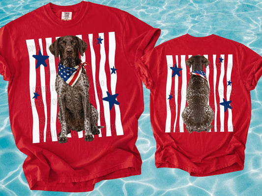 Patriotic German Shorthaired Pointer with American Flag Bandana and Blue Stars (Back)