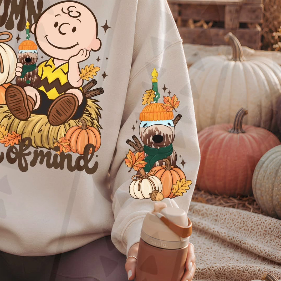 Autumn State of Mind sleeve