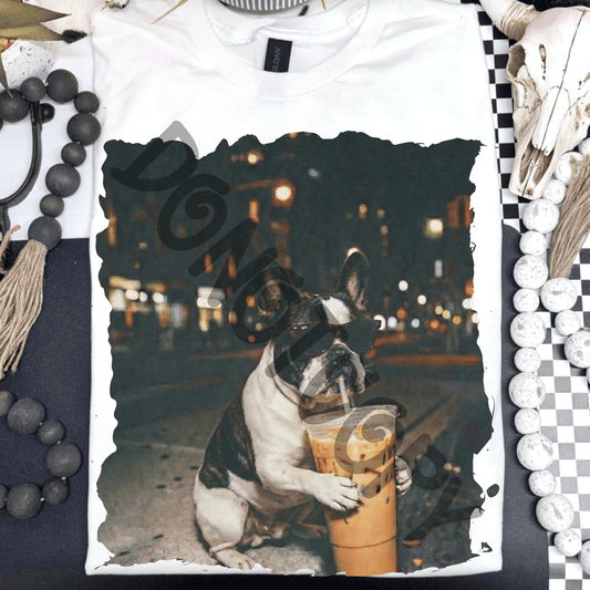 french bulldog iced coffee