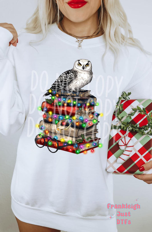 Owl with Stack of Books and Christmas Lights