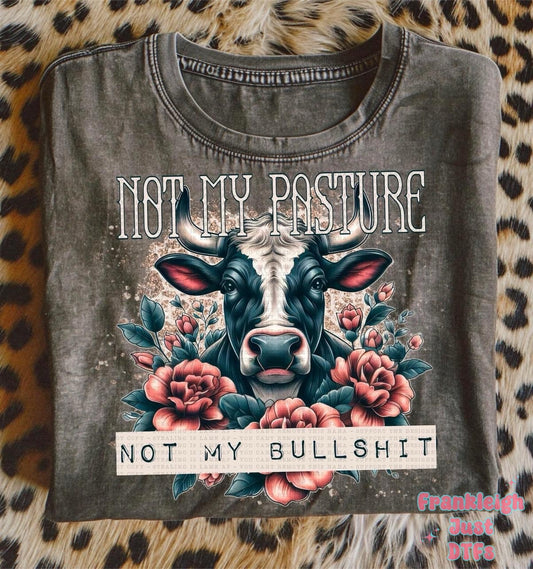 Not My Pasture Not My Bull