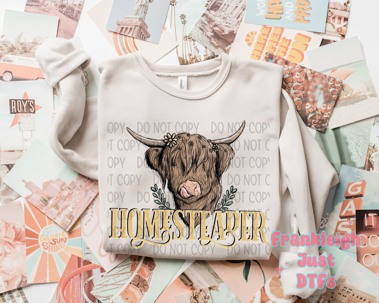 Homesteader (Highland Cow)