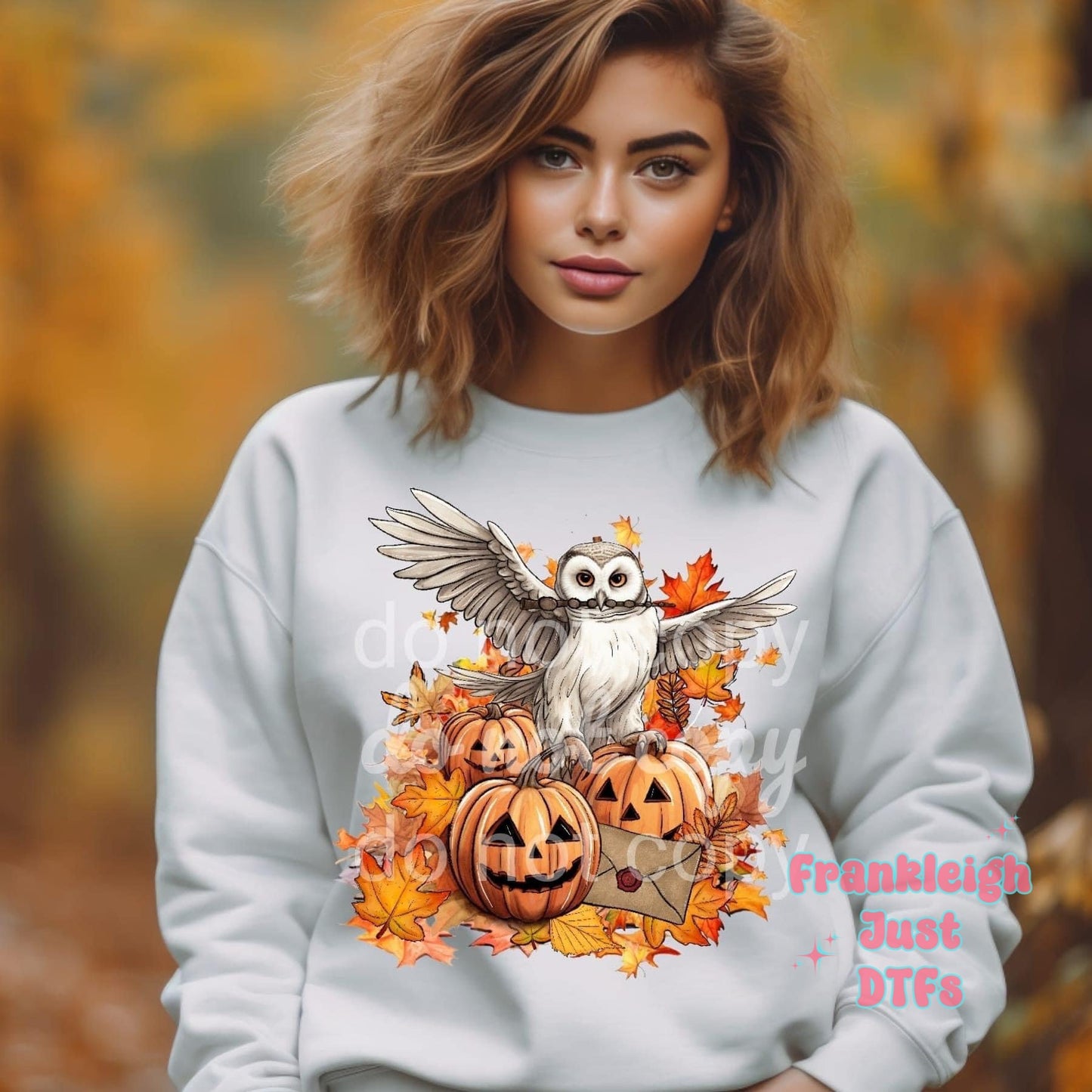 Owl with Pumpkins Fall DTF