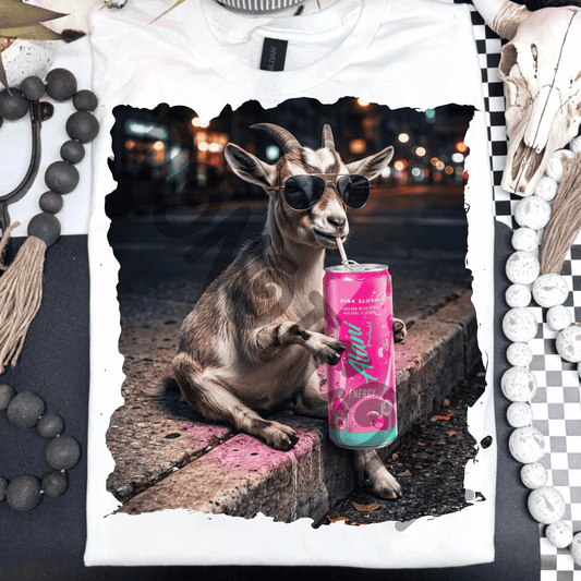 goat drinking ps alani