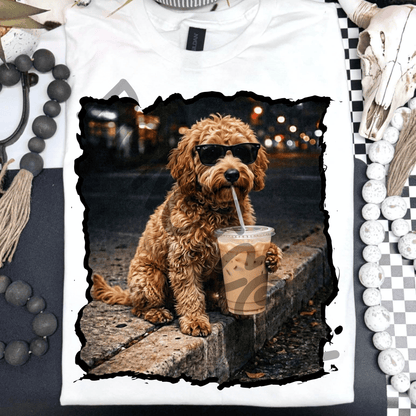 golden doodle drinking iced coffee