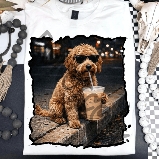 golden doodle drinking iced coffee