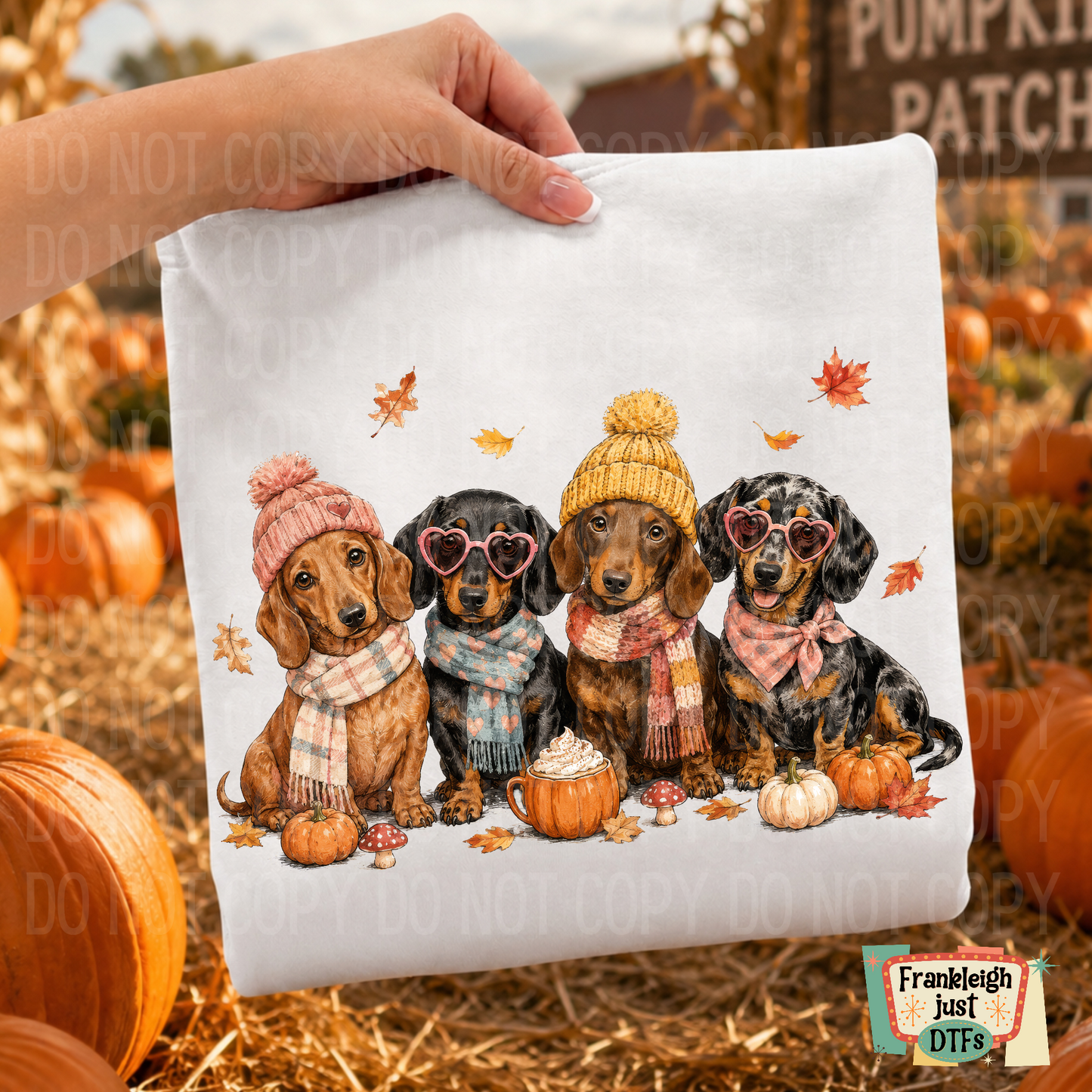 Dachshunds Fall