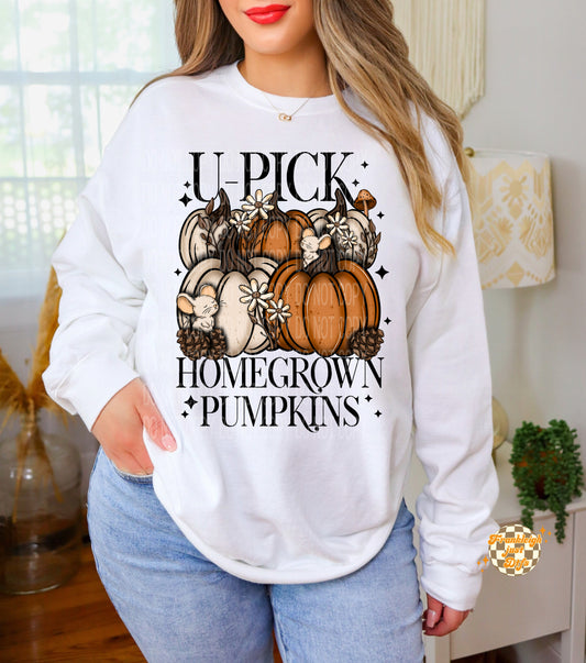 U pick Home Grown Pumpkins