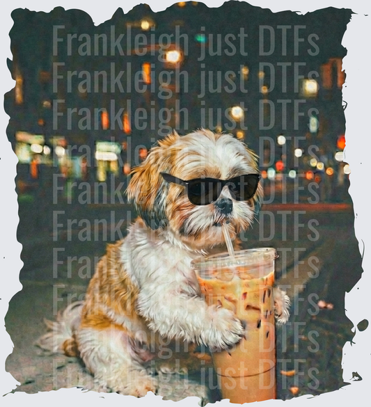 Shih Tzu