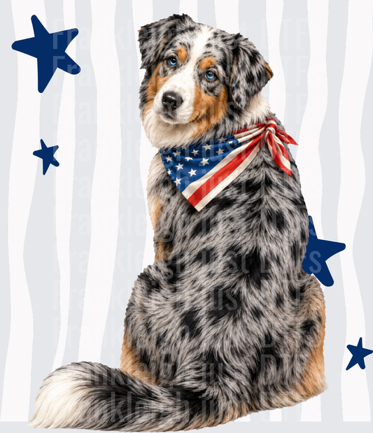 Australian Shepherd Puppy with American Flag Bandana and Blue Stars Back