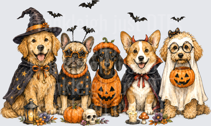 Halloween Dogs