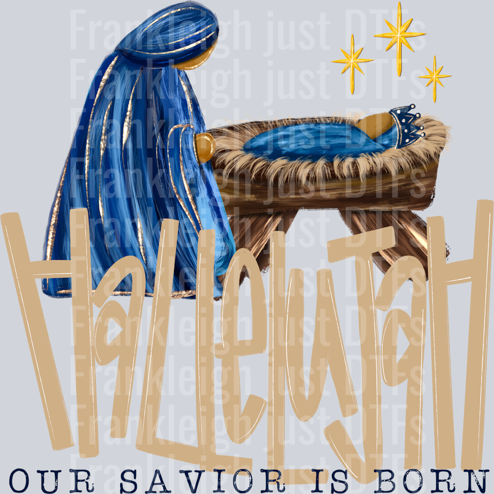 Hallelujah Savior Born