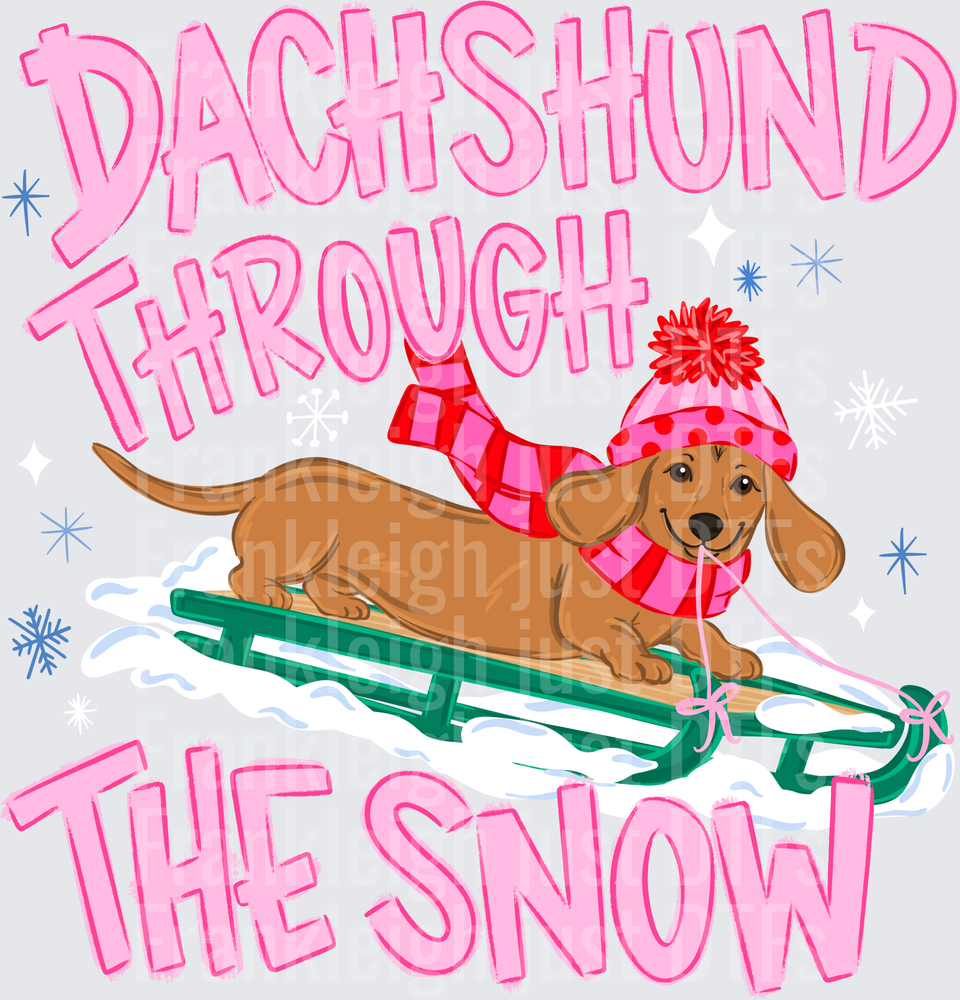 Dachshund through the snow