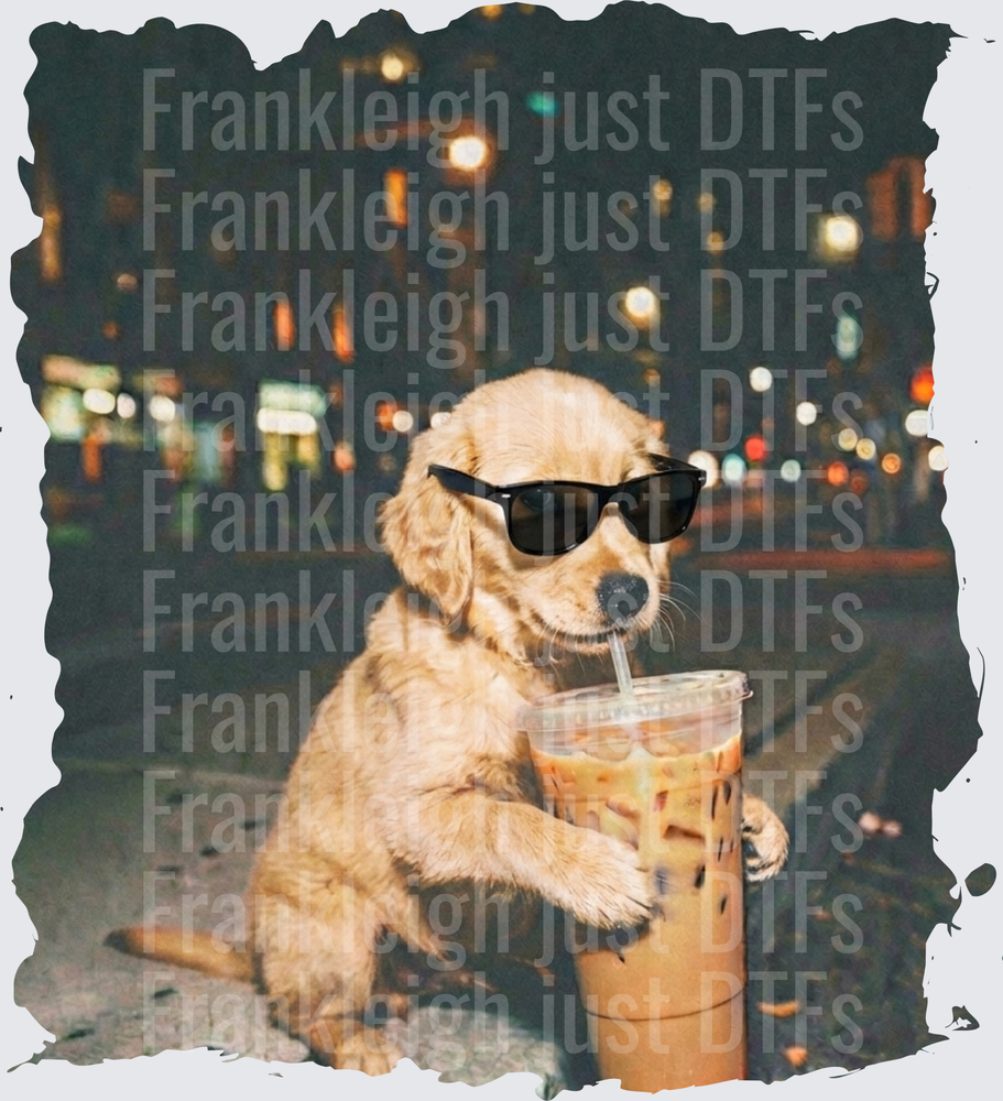golden retriever iced coffee