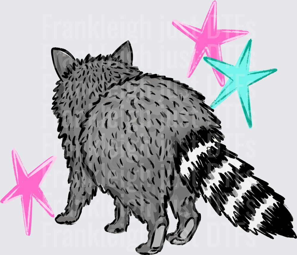 Racoon two