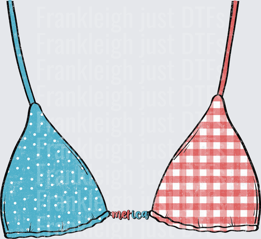 Patriotic Bikini