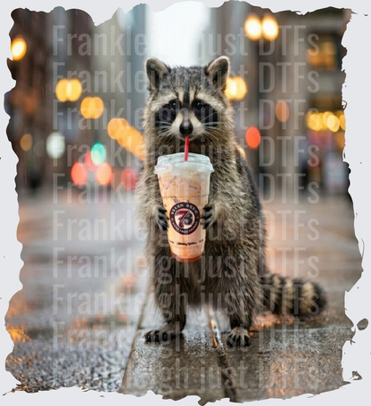 raccoon 7brew