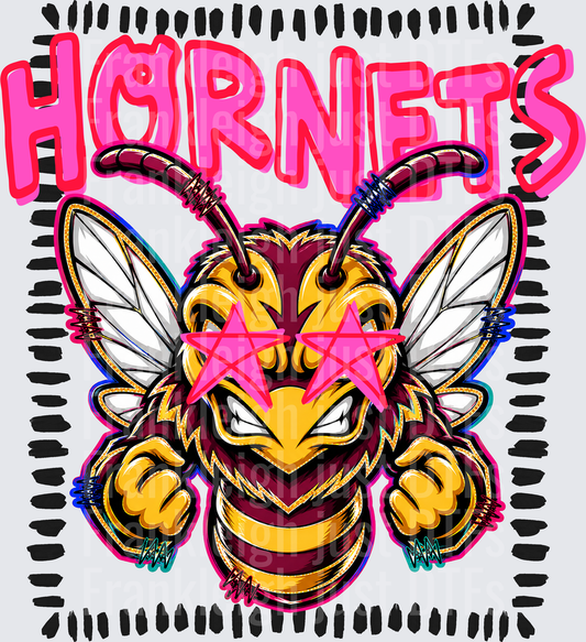 Starstruck Hornets 4