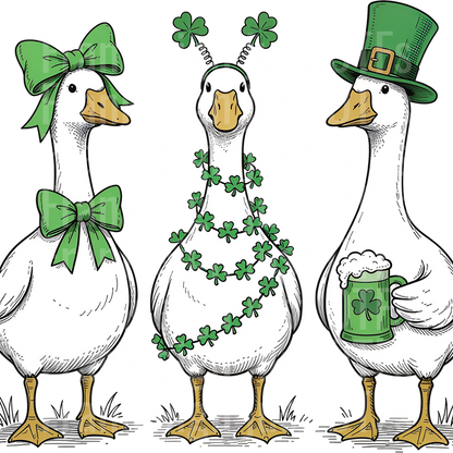 Funny St. Patrick's Day Silly Goose PNG