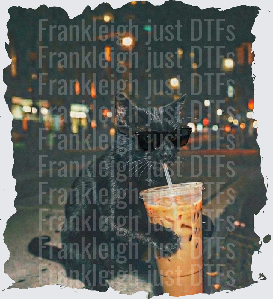black cat iced coffee