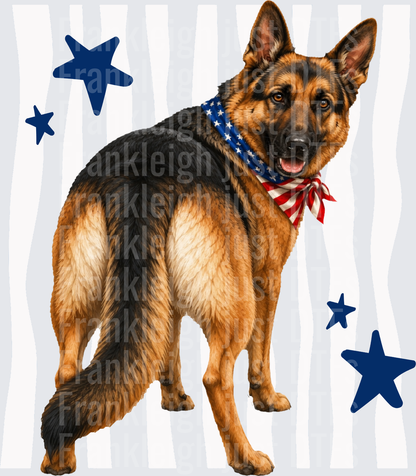 German Shepherd Dog with American Flag Bandana and Blue Stars Back
