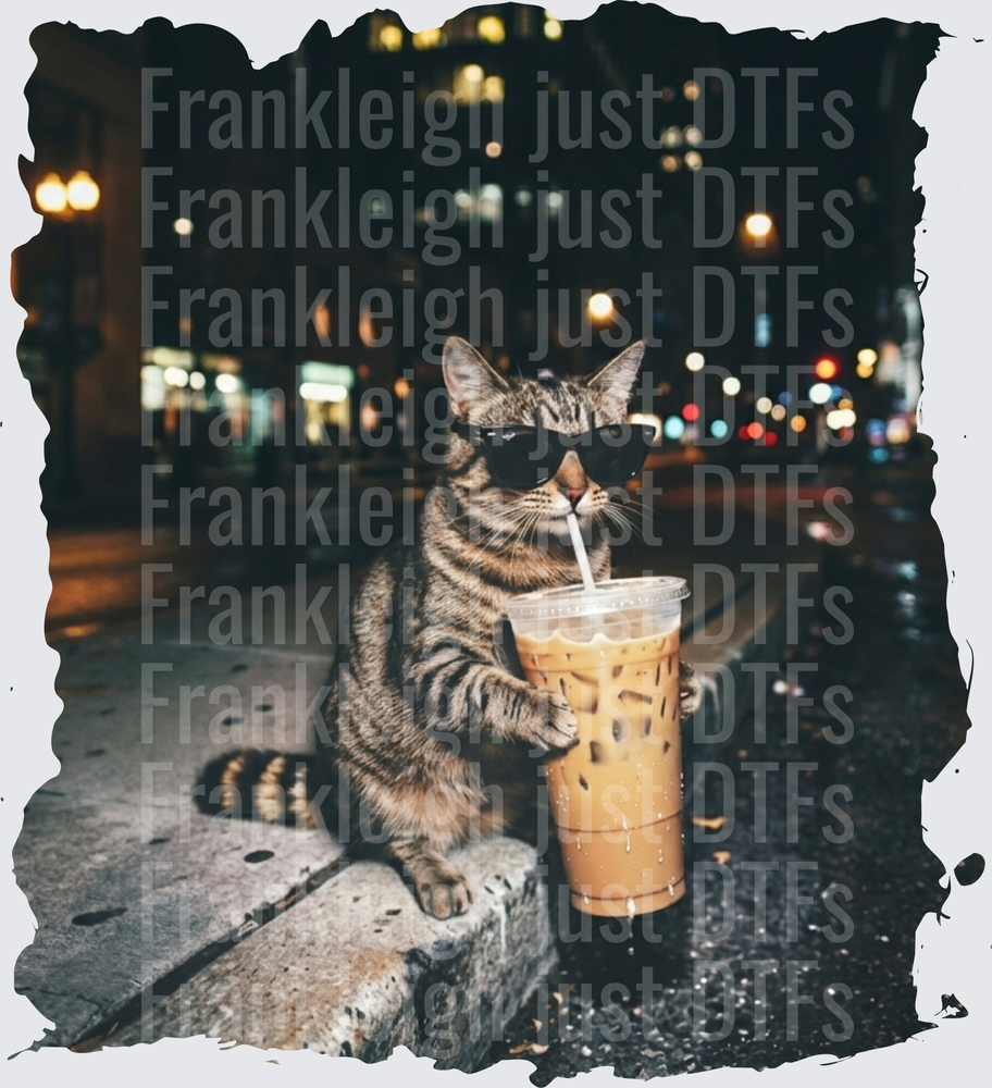 cat iced coffee