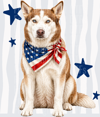 Patriotic Husky Dog Wearing American Flag Bandana with Stars Front