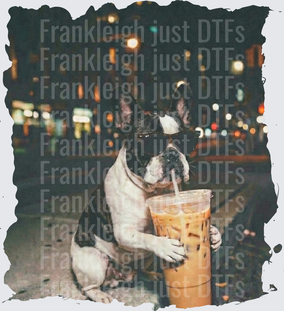 french bulldog iced coffee
