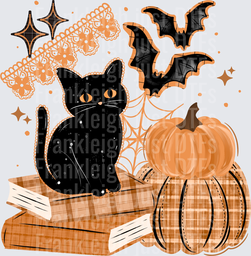 Black Cat Books